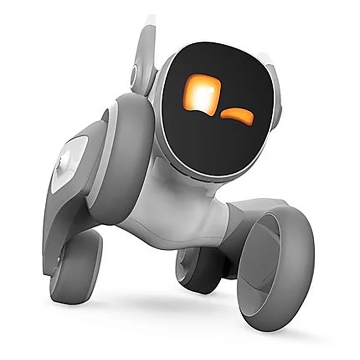 Haustierroboter mit digitalem Zwinkern.